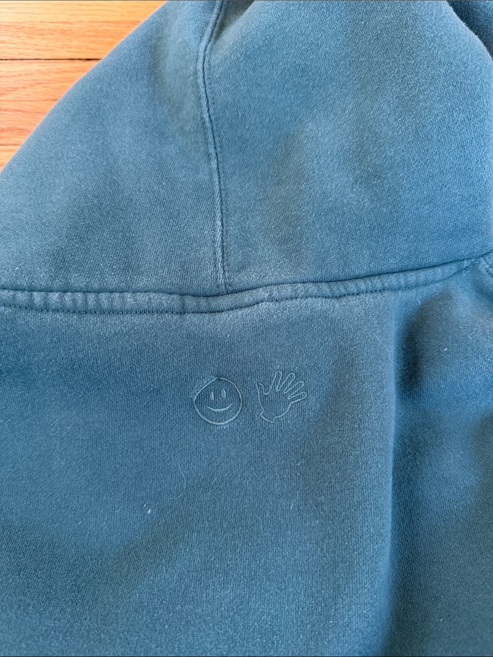 Glossier Teal Hooded Sweatshirt - Picture 5 of 6
